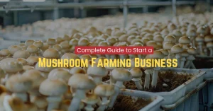 Mushroom farming business