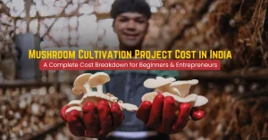 mushroom cultivation project cost in india