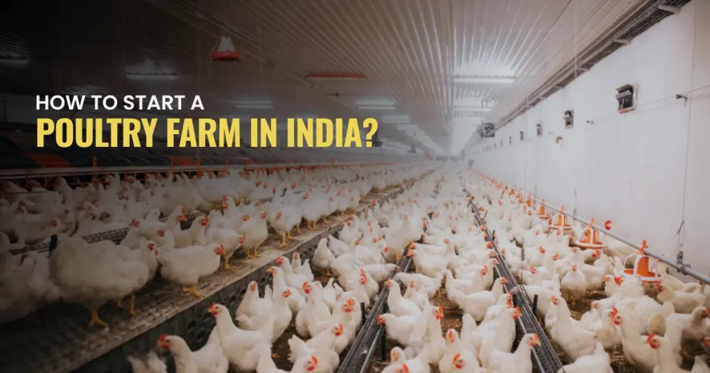 how to start poultry farm in india
