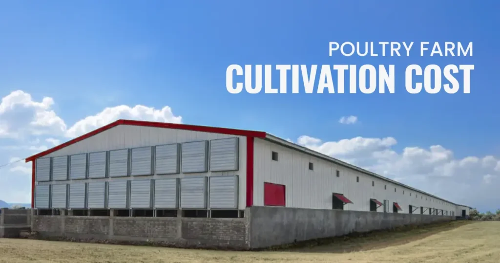 poultry farm cultivation cost