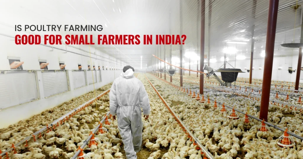 poultry farming is good for small farmers in india